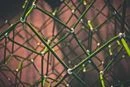 What Is the Blockchain?