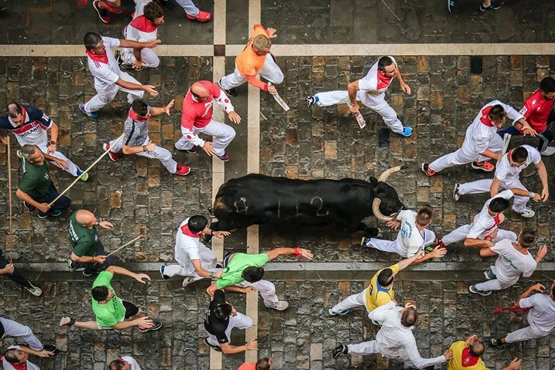 Définition d’un “Bull Run” : un phénomène à connaître